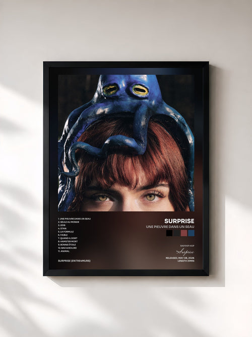 Surprise · Une pieuvre dans un seau — Framed art print