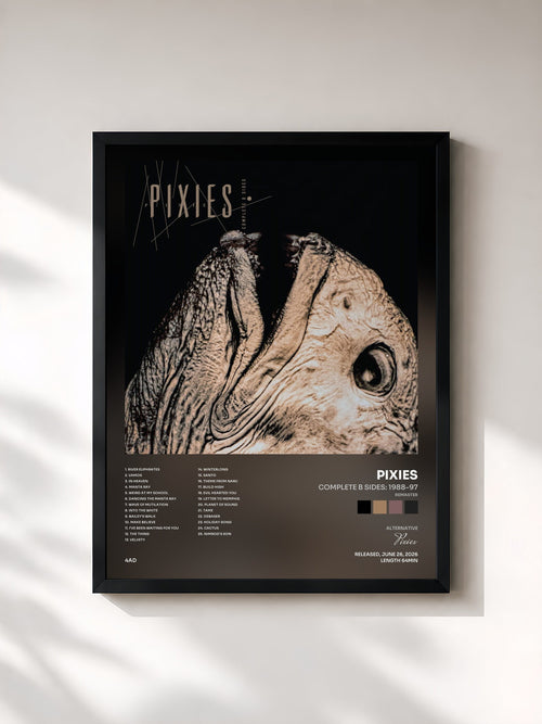 Pixies · Complete B Sides: 1988-97 (Remaster) — Affiche encadrée