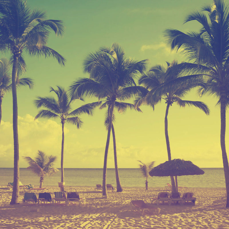 Reggae
