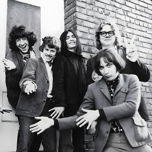 Flamin' Groovies