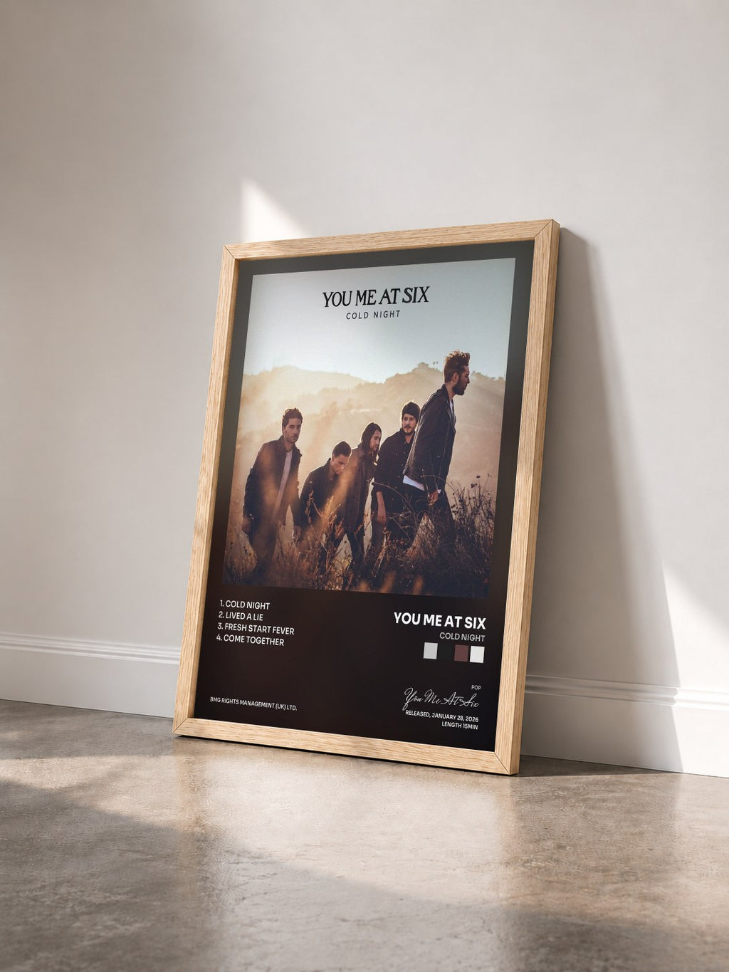 #bois Tableau de l'album Cold Night de You Me At Six vu de trois quarts, cadre en bois brut
