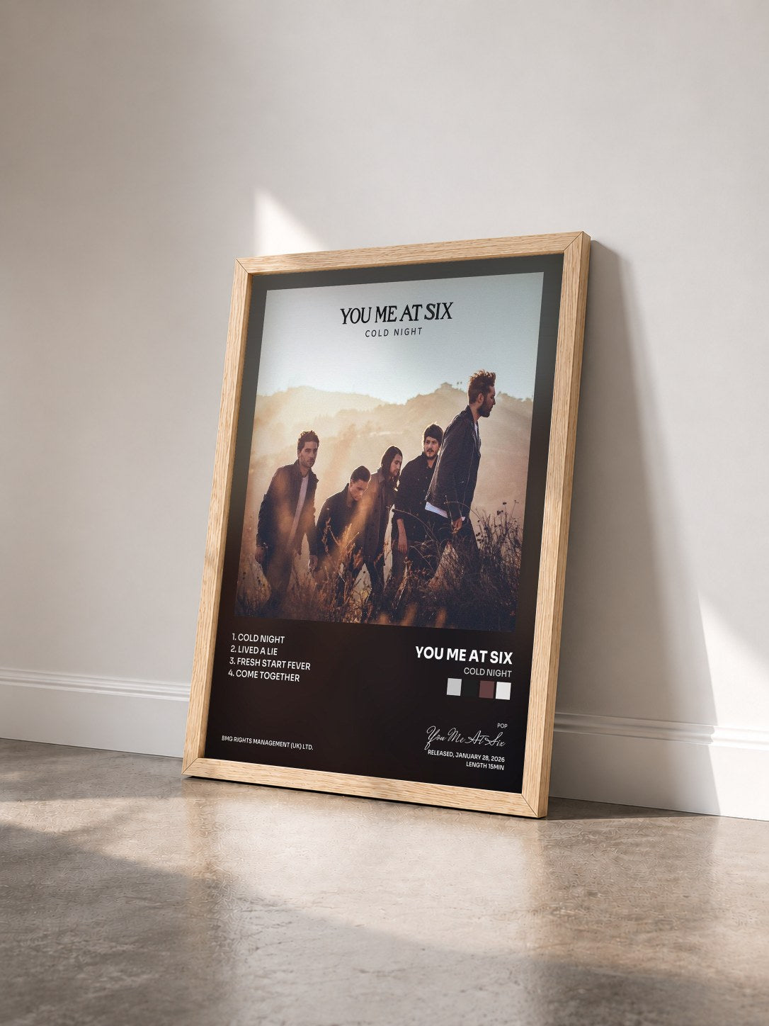 #bois Tableau de l'album Cold Night de You Me At Six vu de trois quarts, cadre en bois brut