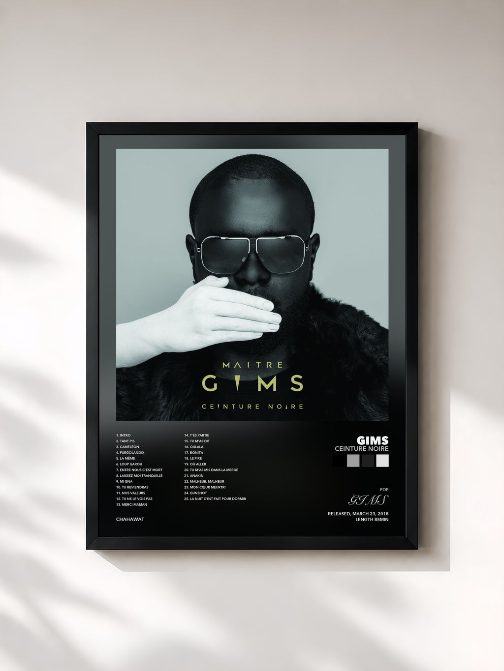 GIMS – Ceinture noire