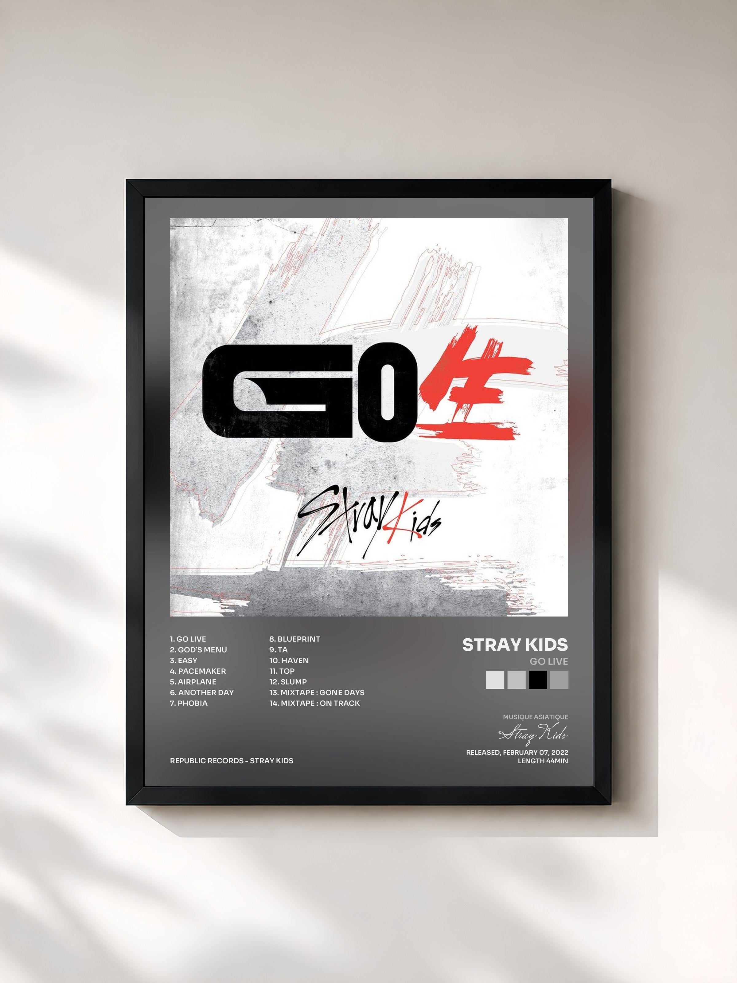 Stray Kids · GO LIVE
