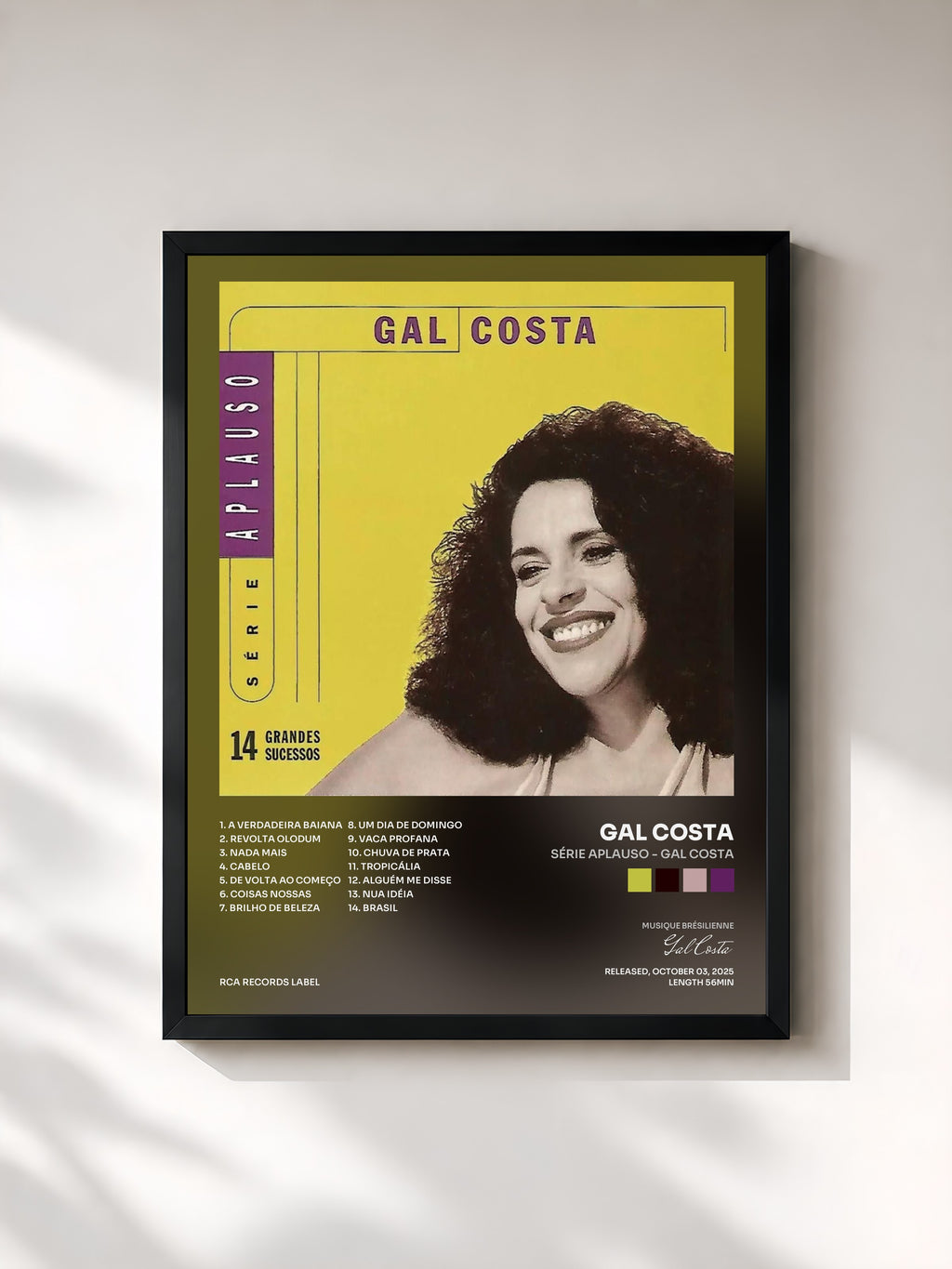 Gal Costa · Série Aplauso - Gal Costa