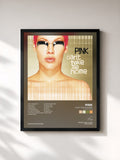 P!nk · Can't Take Me Home (Expanded Edition)