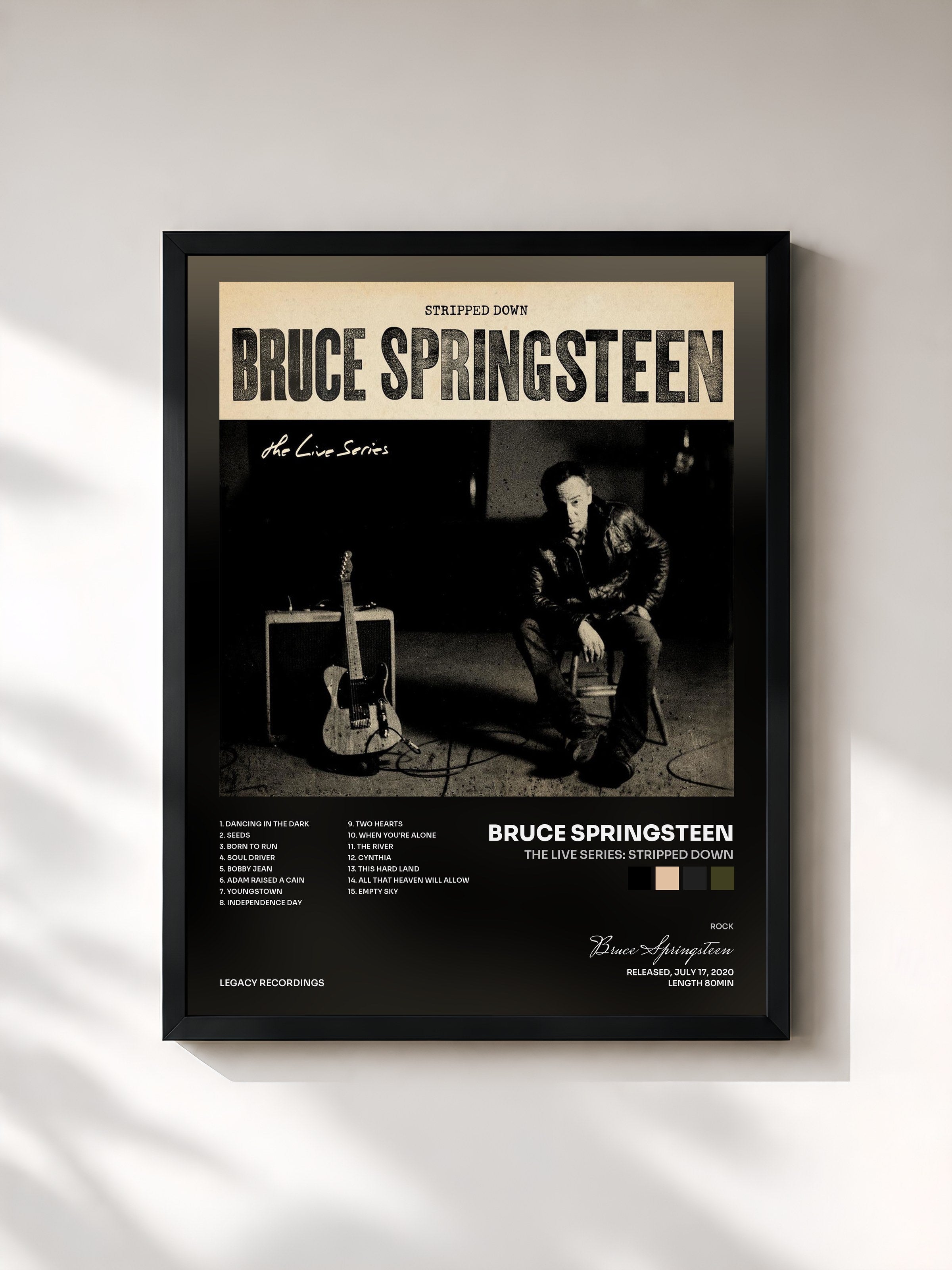 Bruce Springsteen · The Live Series: Stripped Down