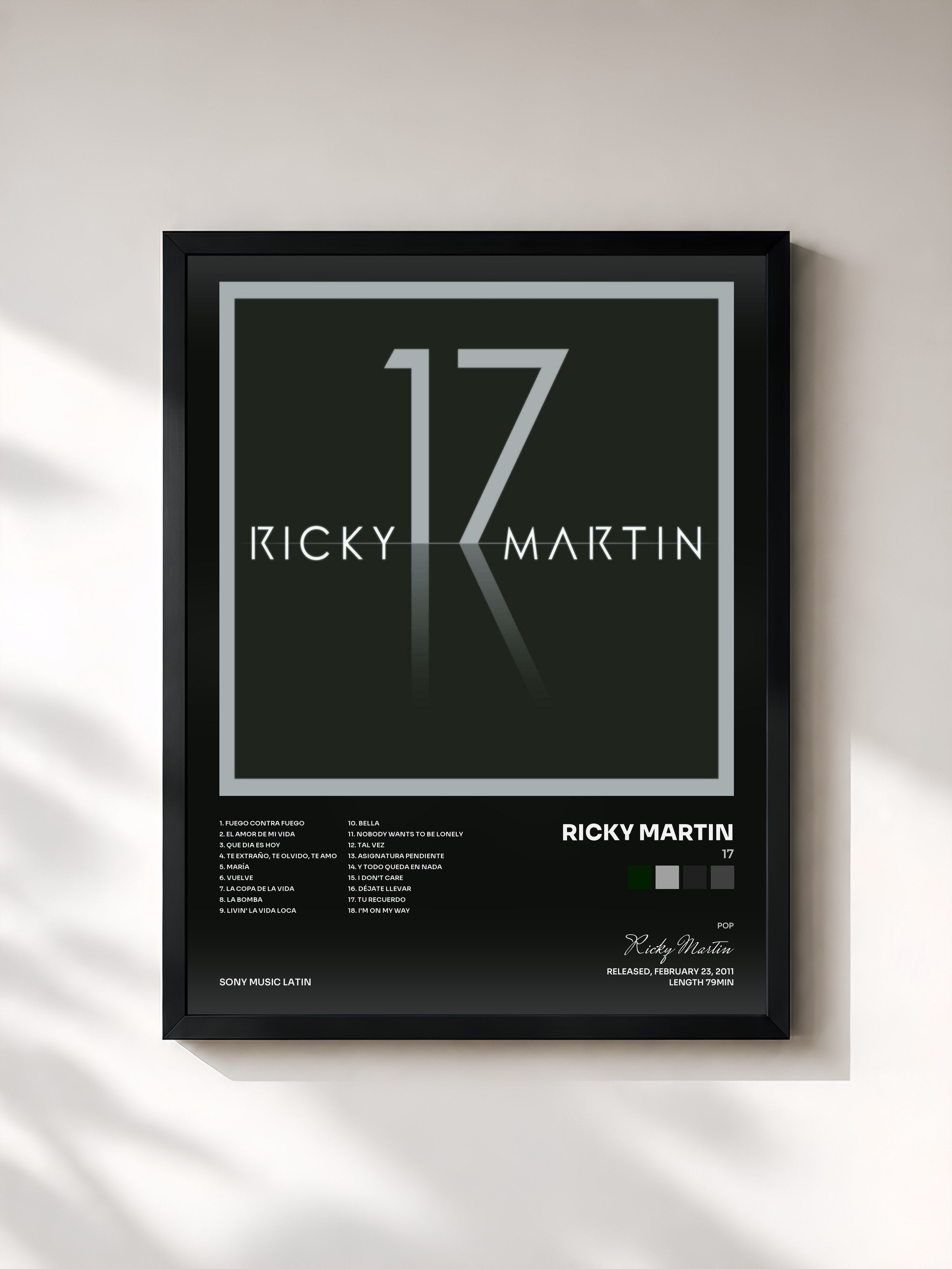 Ricky Martin · 17