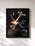 B.B. King · Why I Sing The Blues