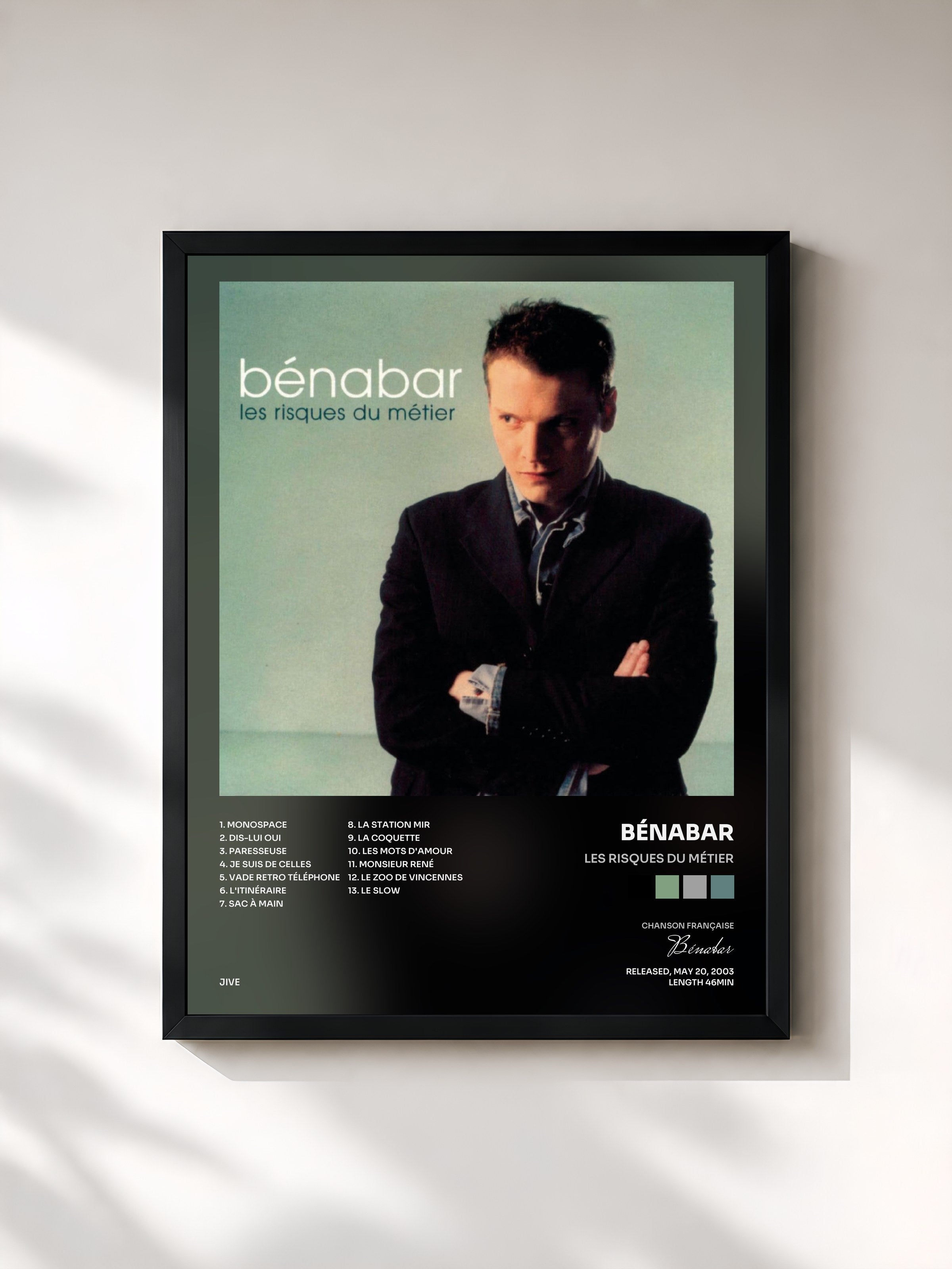 Bénabar · Les risques du métier