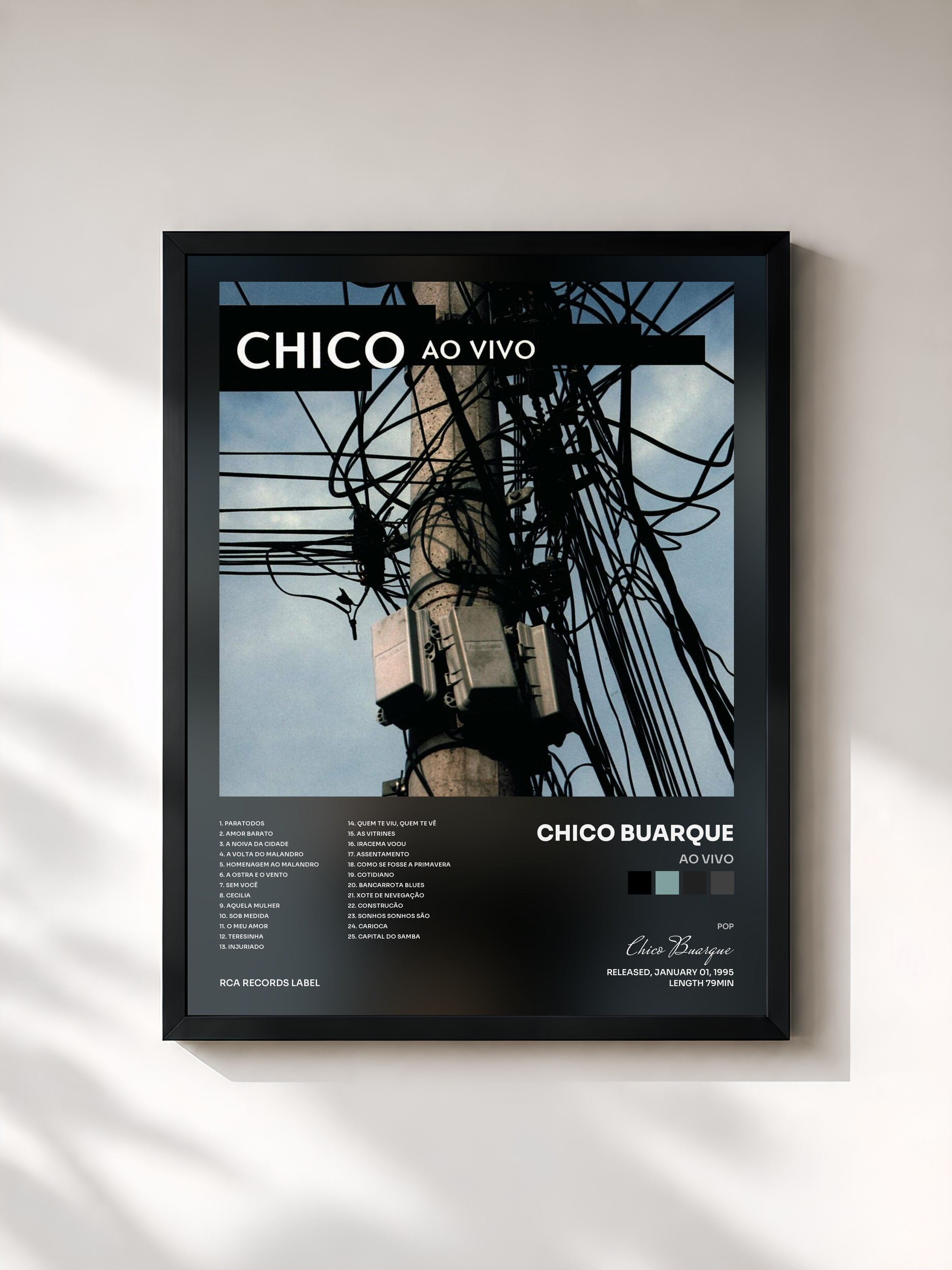 Chico Buarque · Ao Vivo