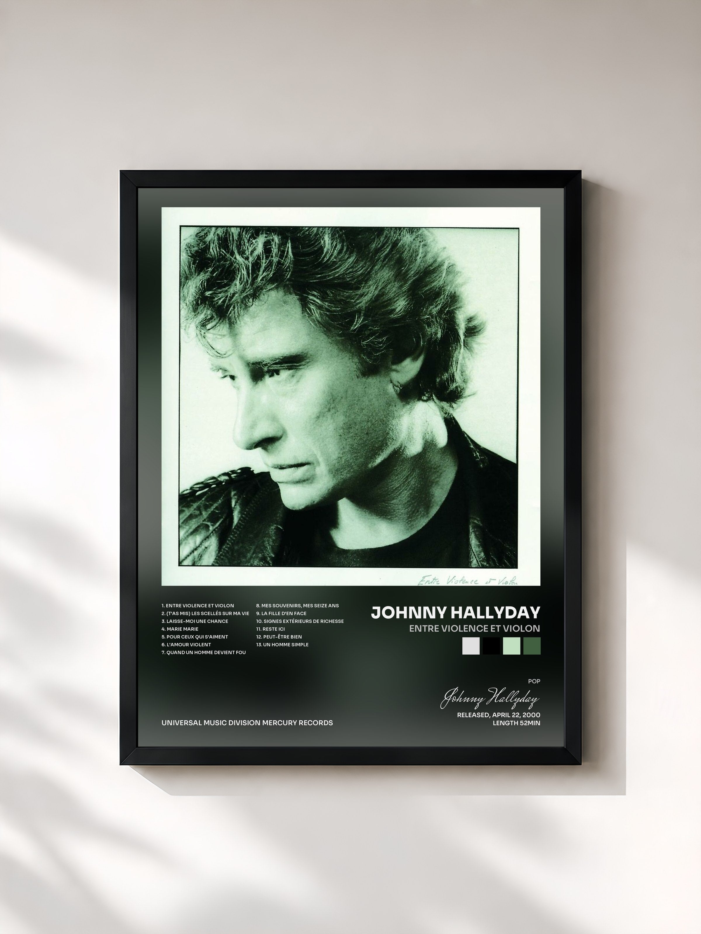 Johnny Hallyday · Entre violence et violon