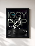 Iggy Pop · Pop Music