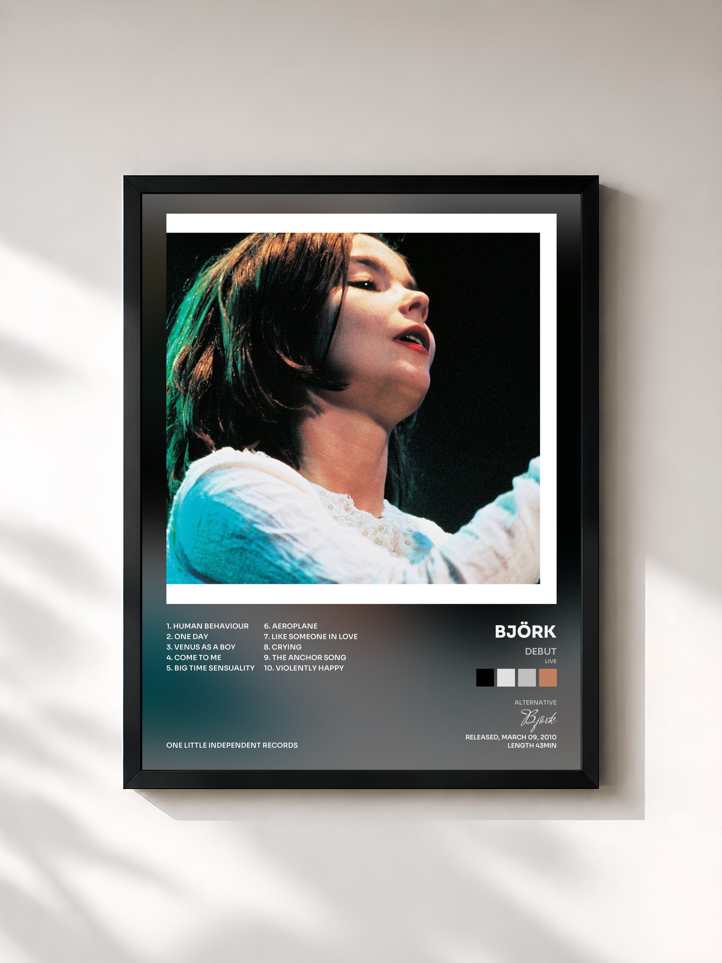 Björk · Debut (Live)