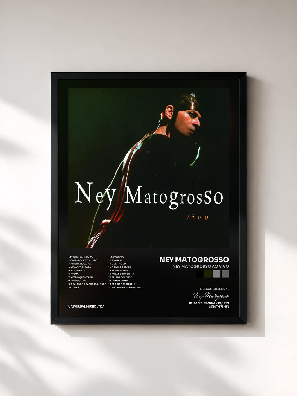 Ney Matogrosso · Ney Matogrosso Ao Vivo