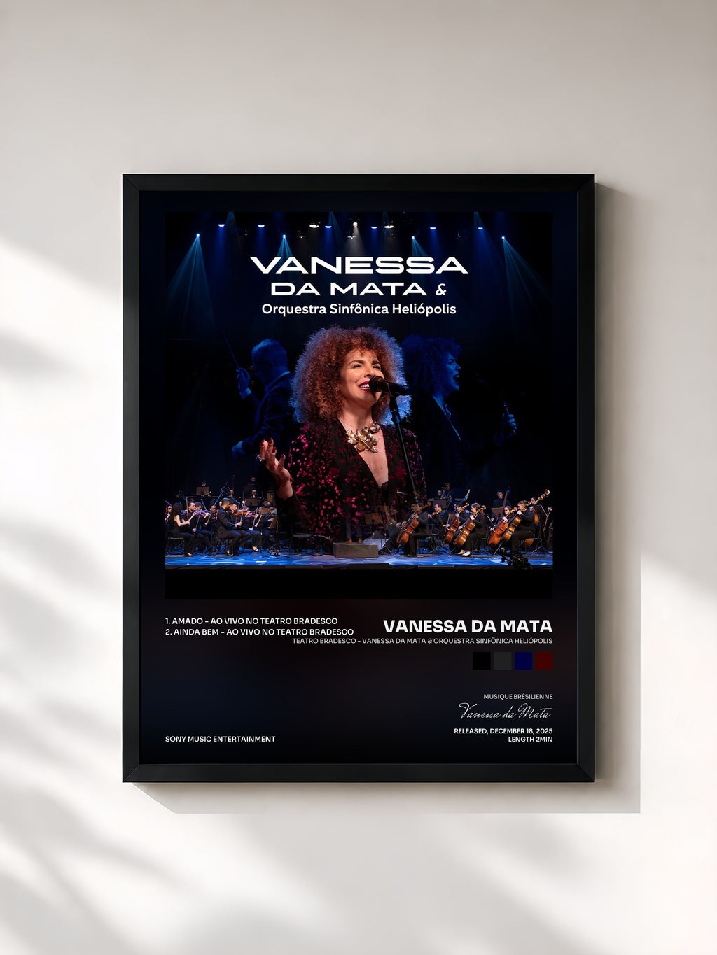 Vanessa da Mata · Teatro Bradesco - Vanessa Da Mata & Orquestra Sinfônica Heliópolis