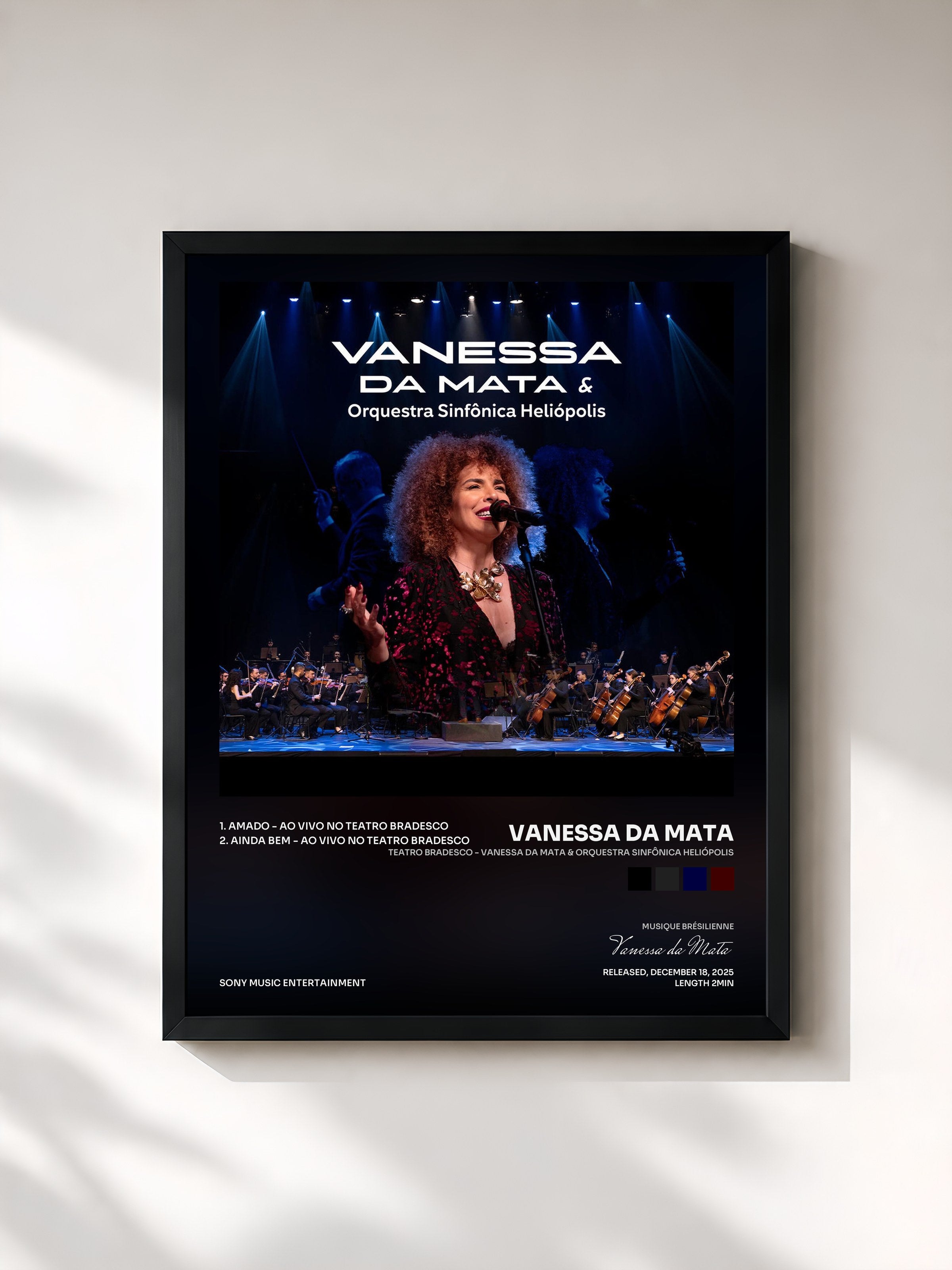 Vanessa da Mata · Teatro Bradesco - Vanessa Da Mata & Orquestra Sinfônica Heliópolis