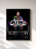 Flo Rida · Wild Ones