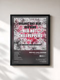 Red Hot Chili Peppers · Organic Anti Beat Box Band (Live)