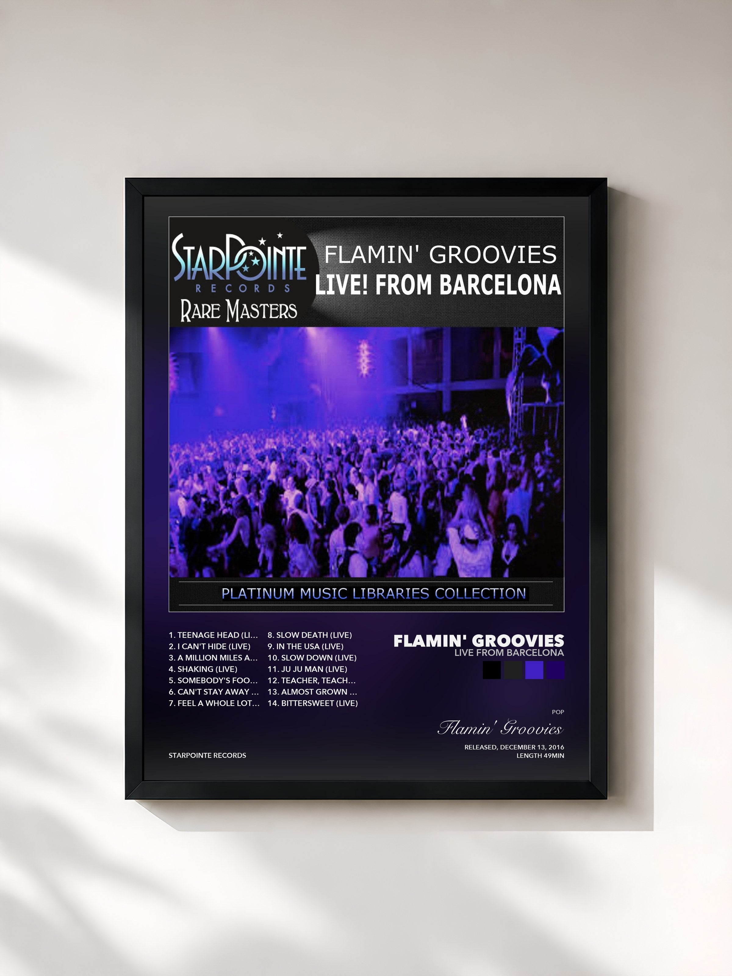 Flamin' Groovies – Live from Barcelona