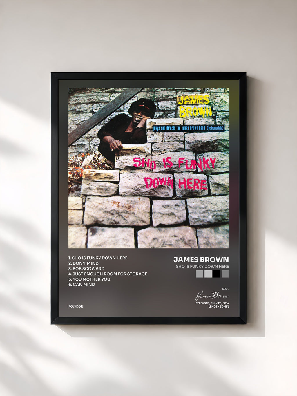 James Brown · Sho Is Funky Down Here