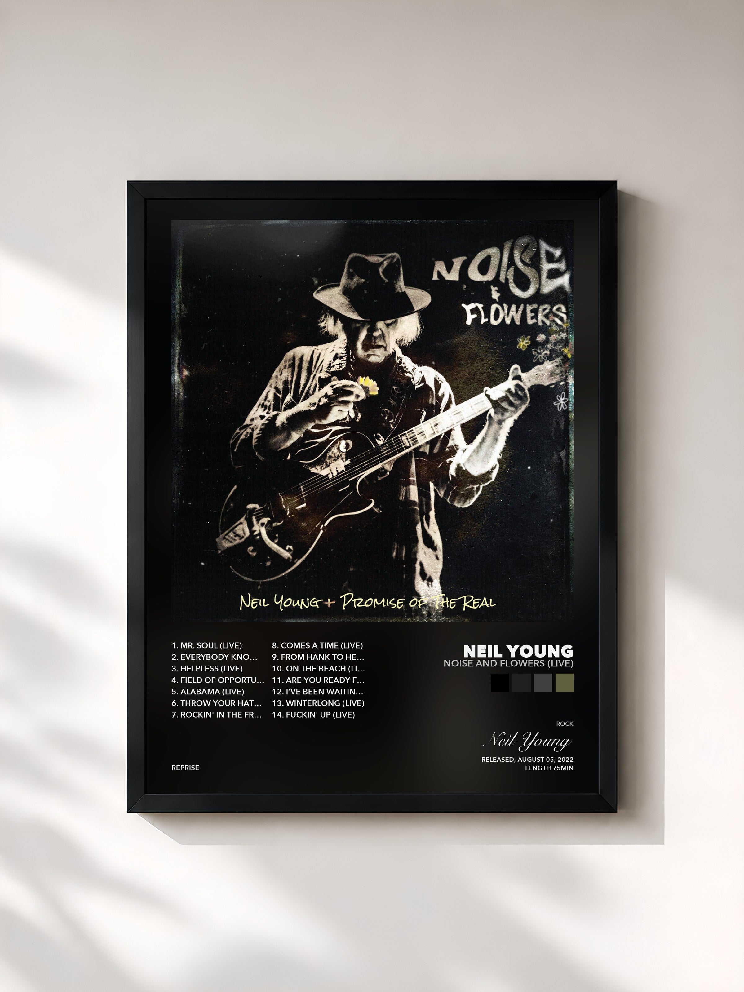 Neil Young – Noise and Flowers (Live)