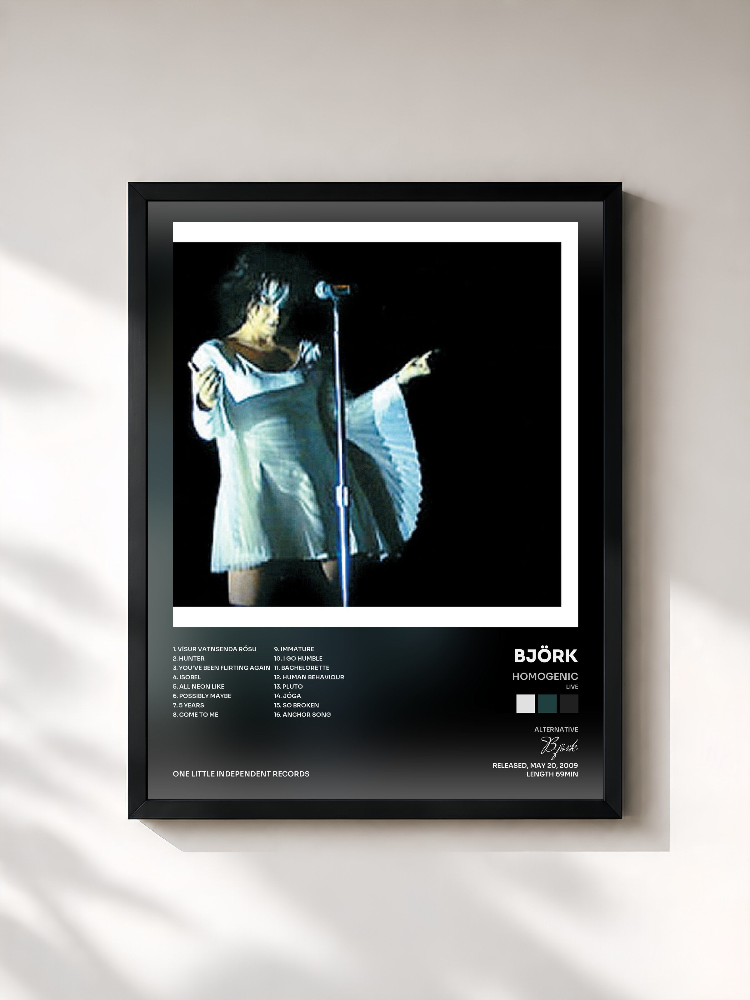 Björk · Homogenic (Live)