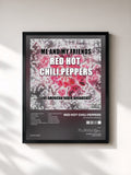 Red Hot Chili Peppers · Me and My Friends (Live)