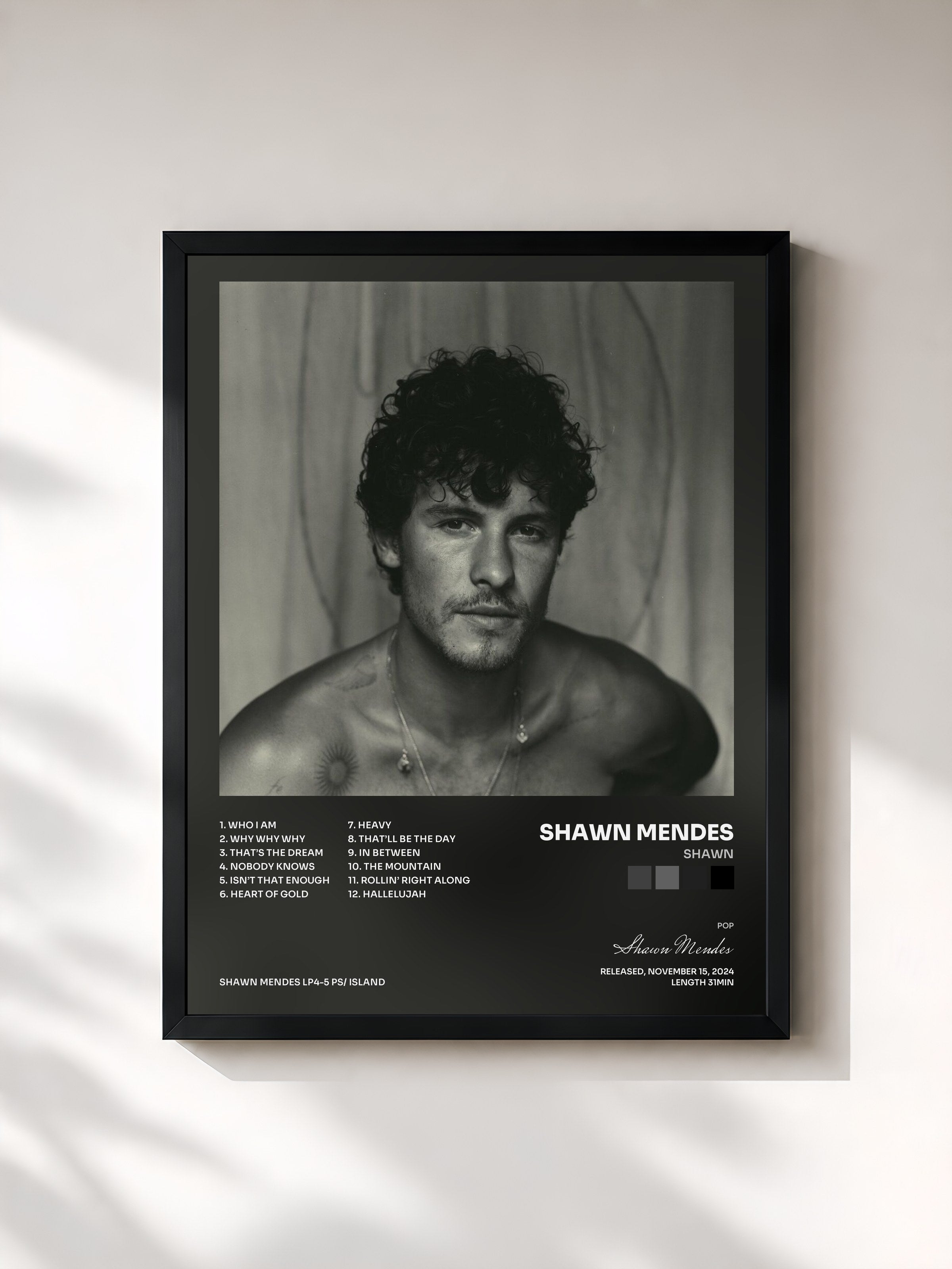 Shawn Mendes · Shawn