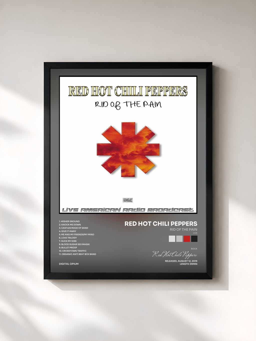 Red Hot Chili Peppers · Rid Of The Pain (Live)