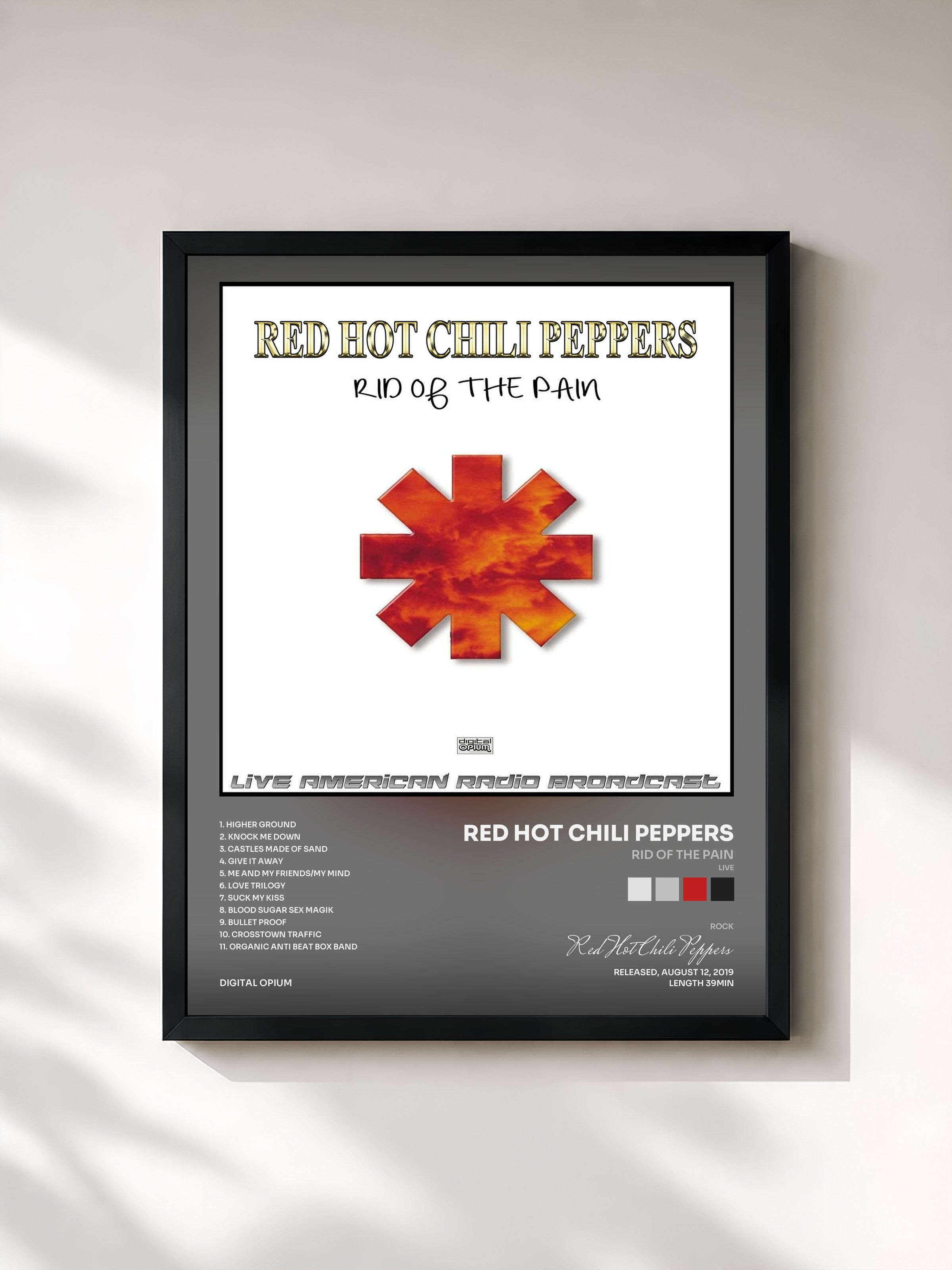 Red Hot Chili Peppers · Rid Of The Pain (Live)