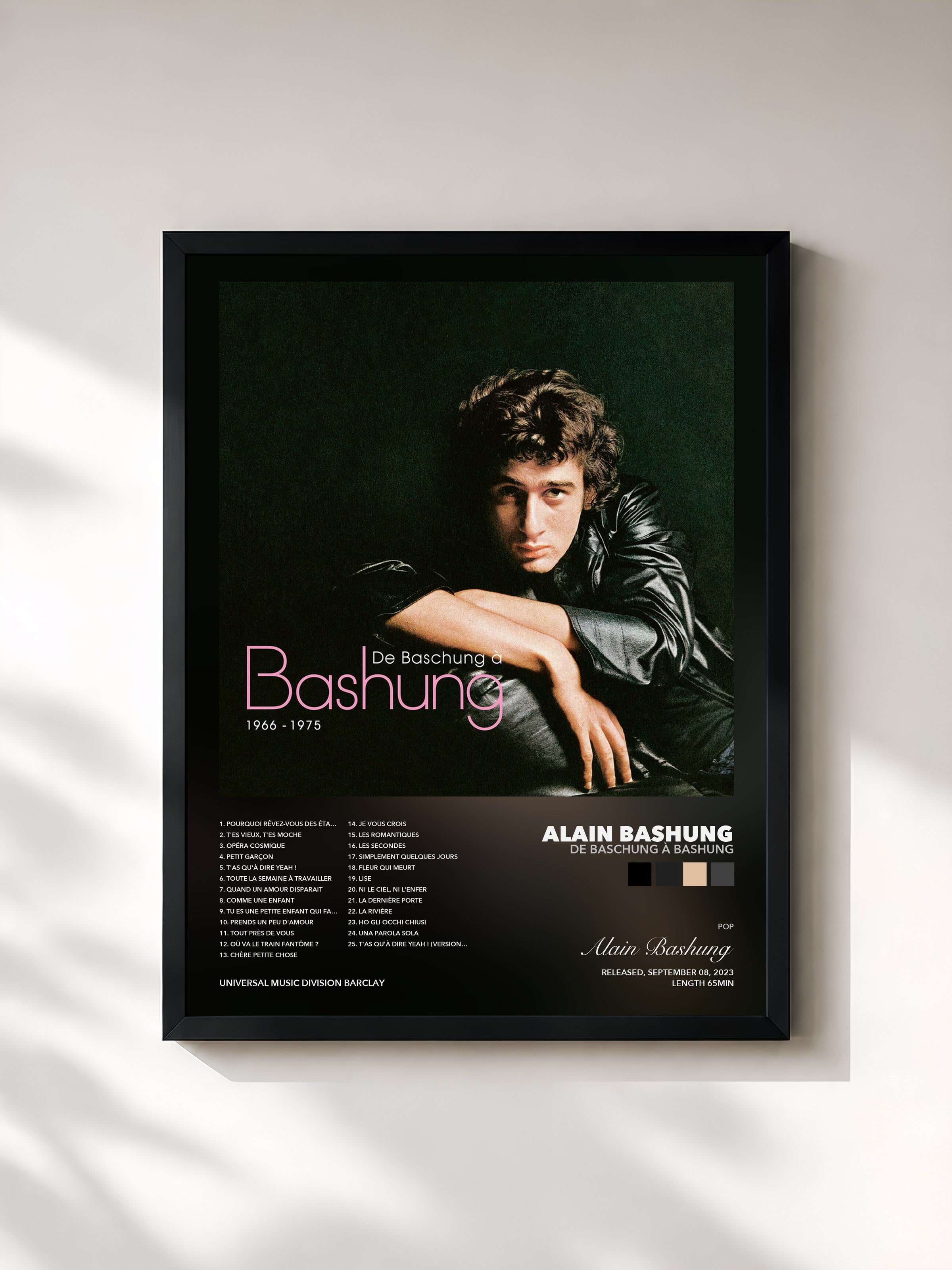Alain Bashung – De Baschung à Bashung