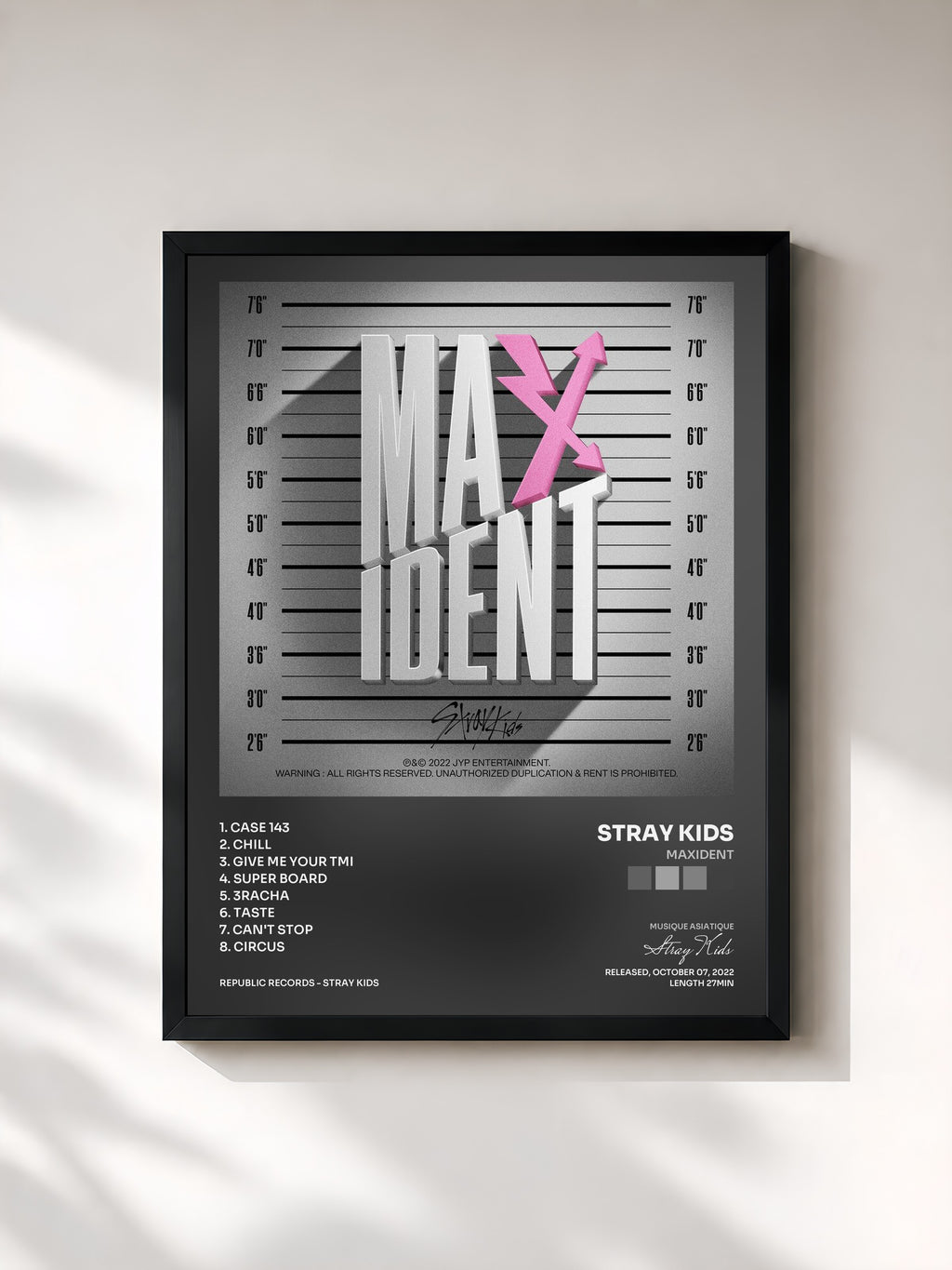 Stray Kids · MAXIDENT
