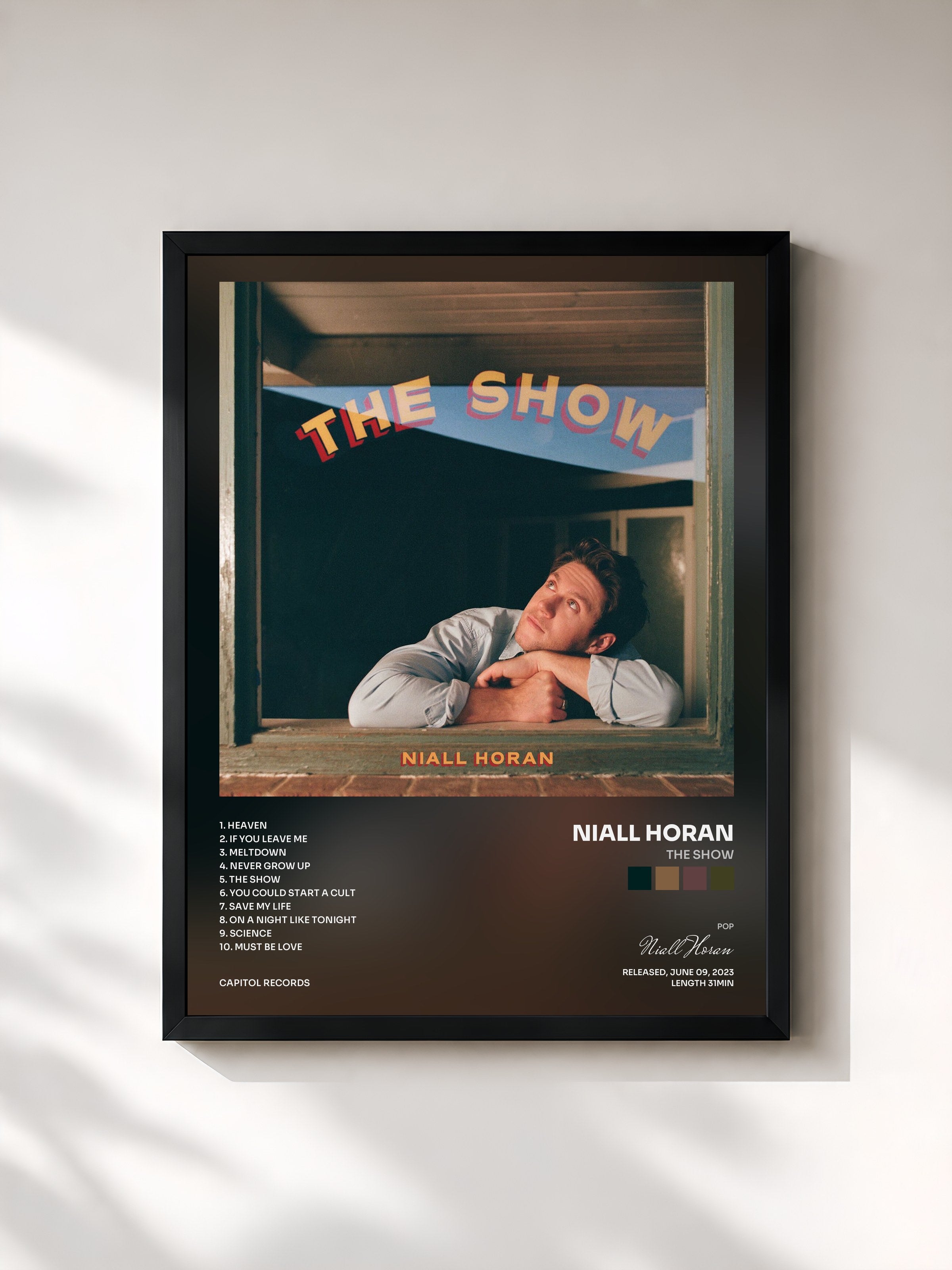 Niall Horan · The Show