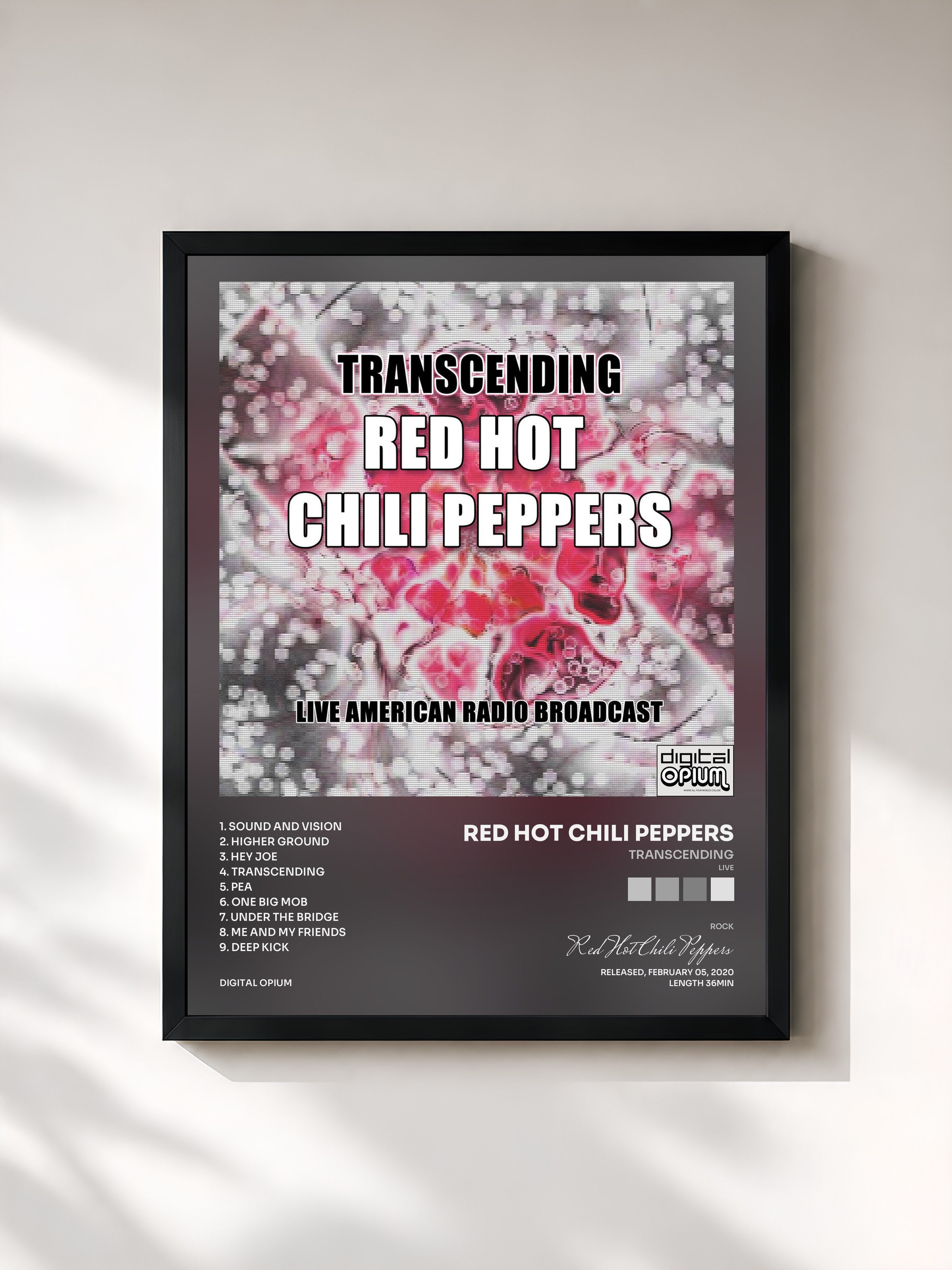 Red Hot Chili Peppers · Transcending (Live)