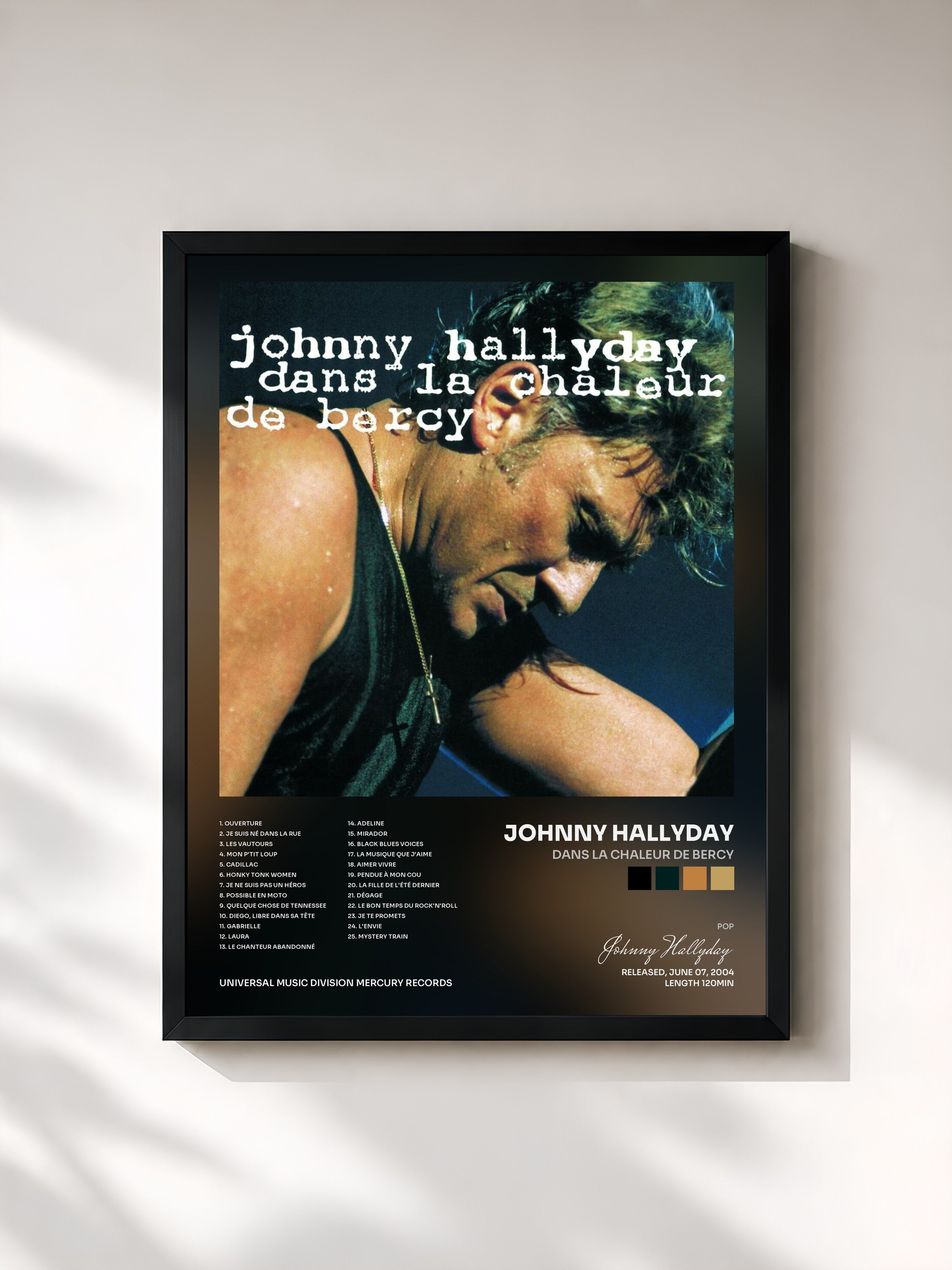 Johnny Hallyday · Dans la chaleur de Bercy