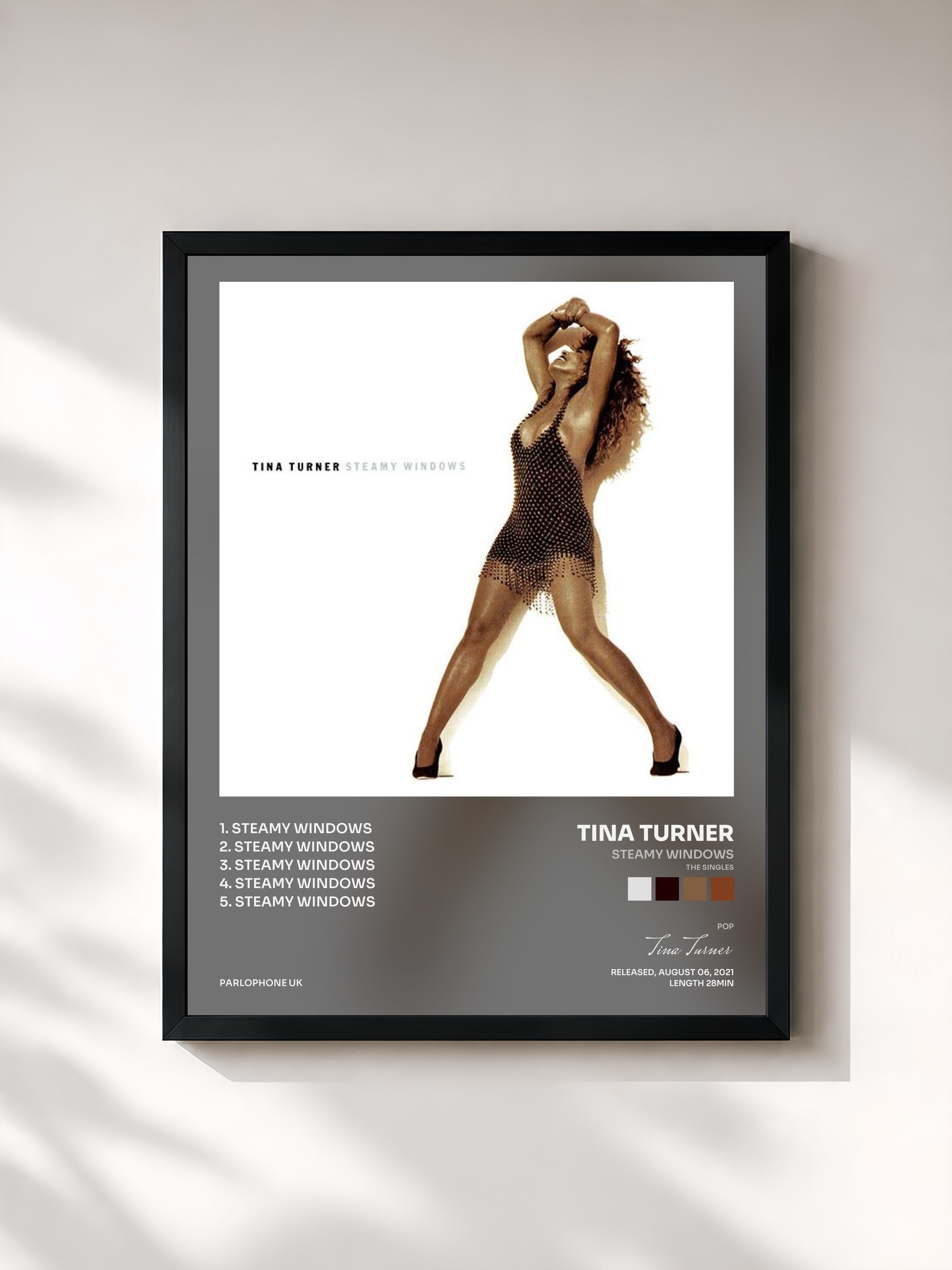 Tina Turner · Steamy Windows (The Singles)