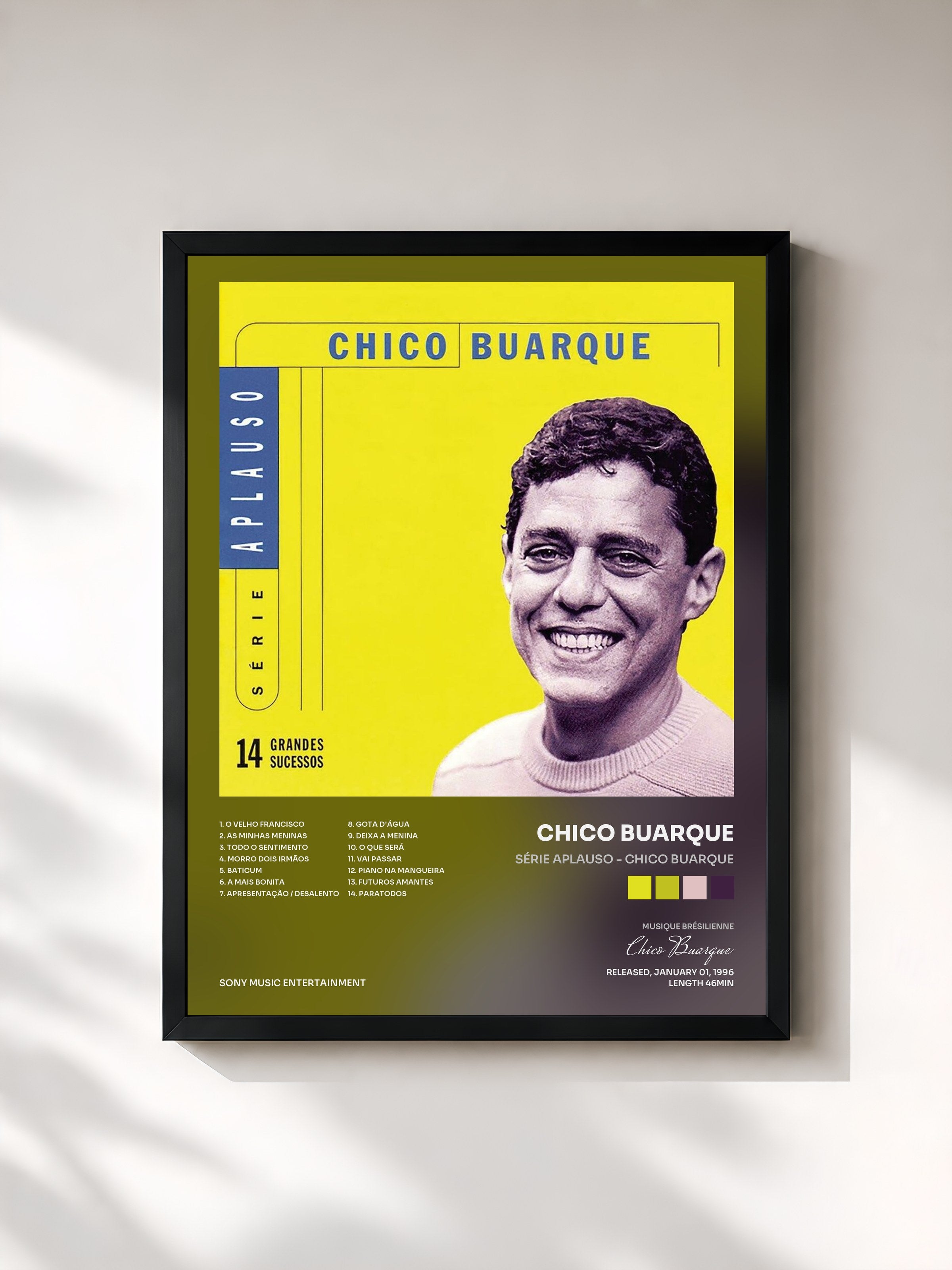 Chico Buarque · Série Aplauso - Chico Buarque