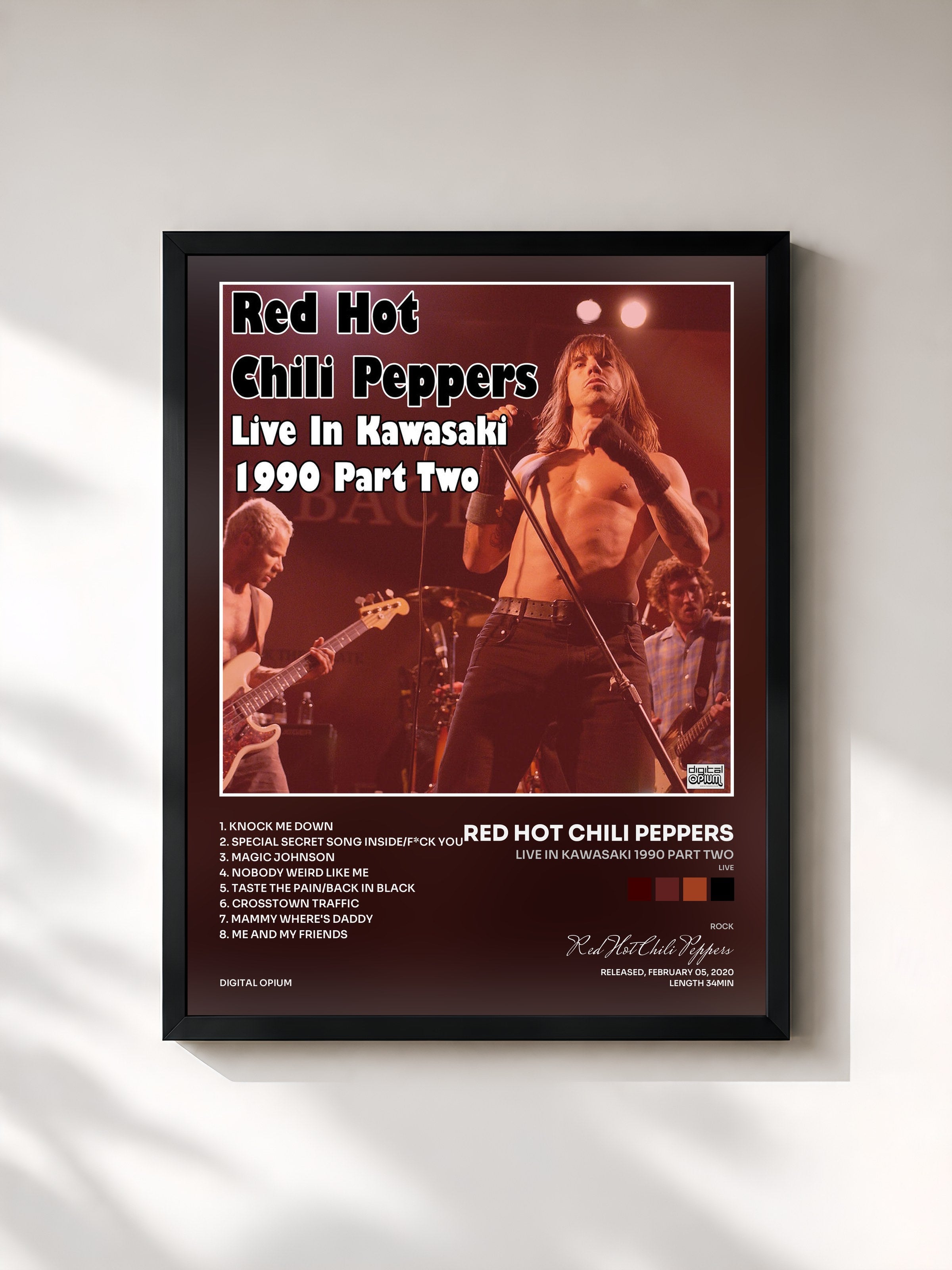 Red Hot Chili Peppers · Live In Kawasaki 1990 Part Two (Live)