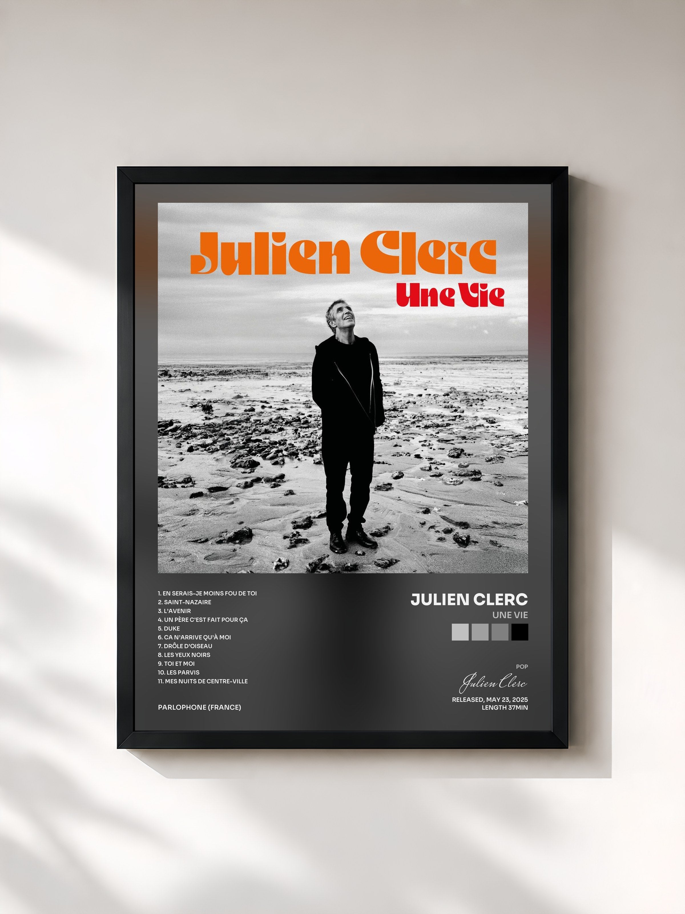 Julien Clerc · Une vie