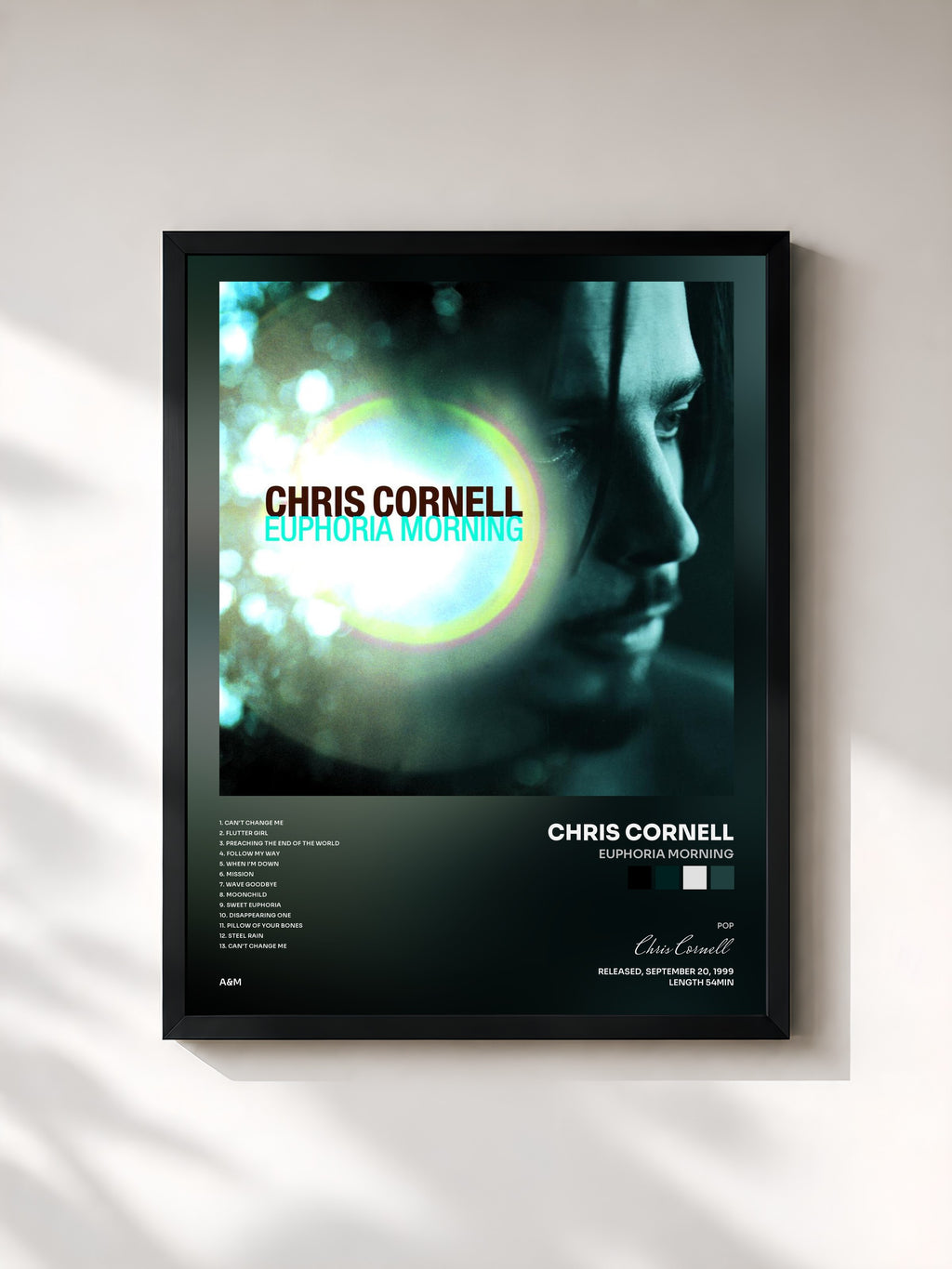Chris Cornell · Euphoria Morning