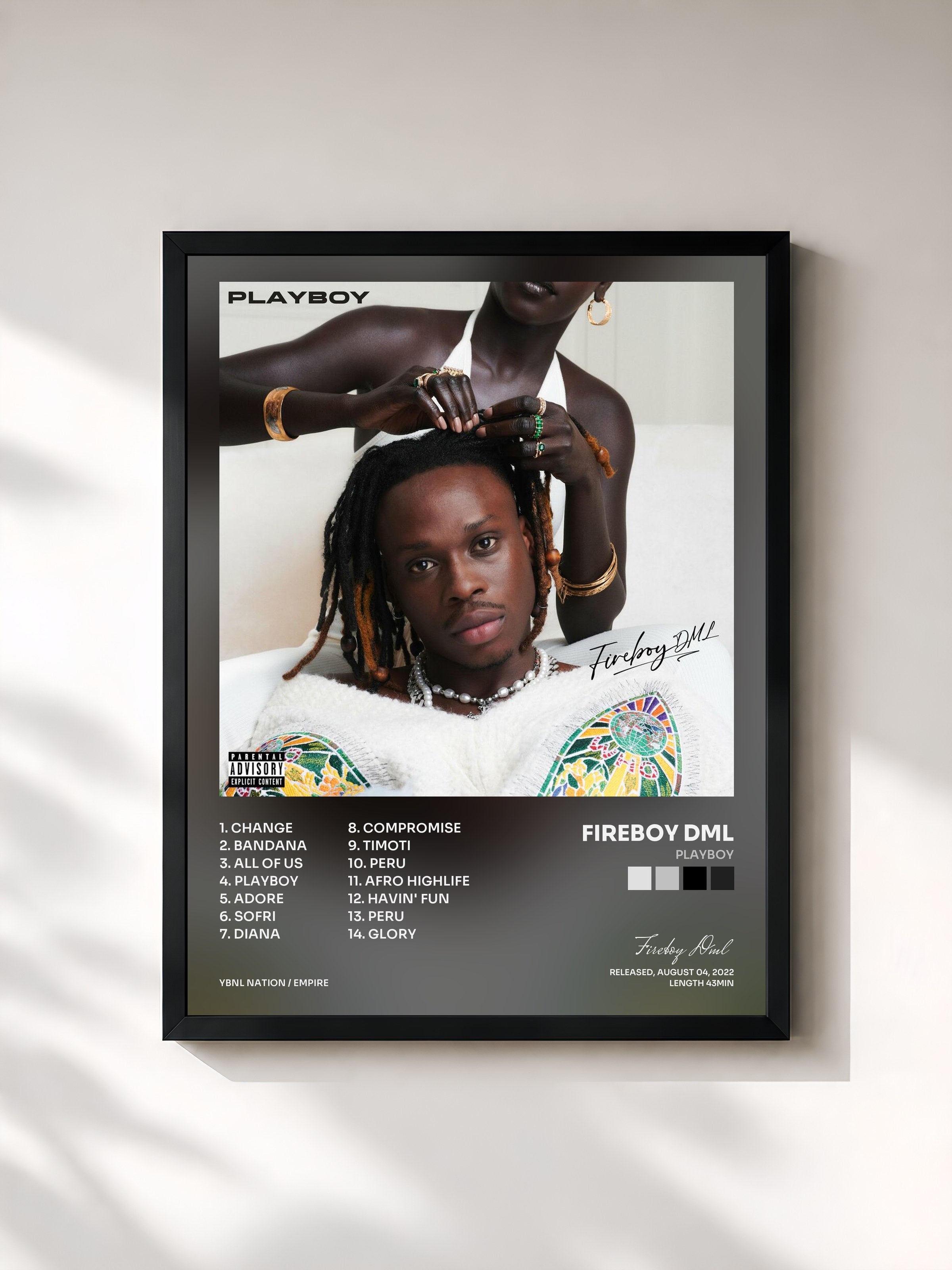 Fireboy Dml · Playboy