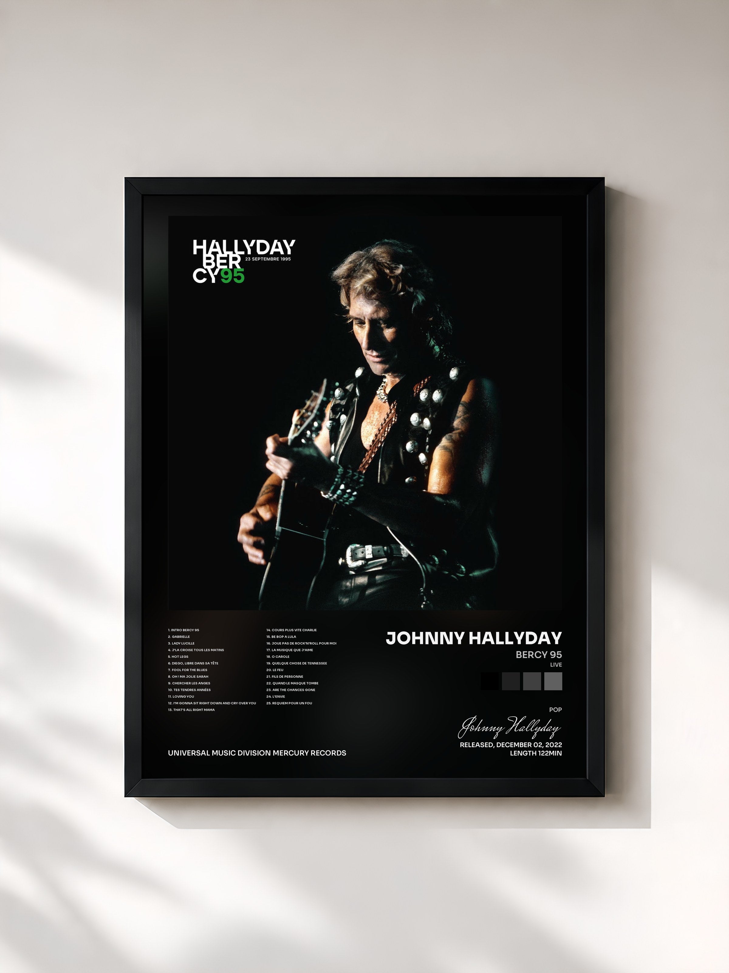 Johnny Hallyday · Bercy 95 (Live)