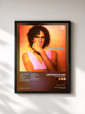 Caetano Veloso · Outras Palavras