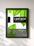Caetano Veloso · Caetano Veloso Naturalmente
