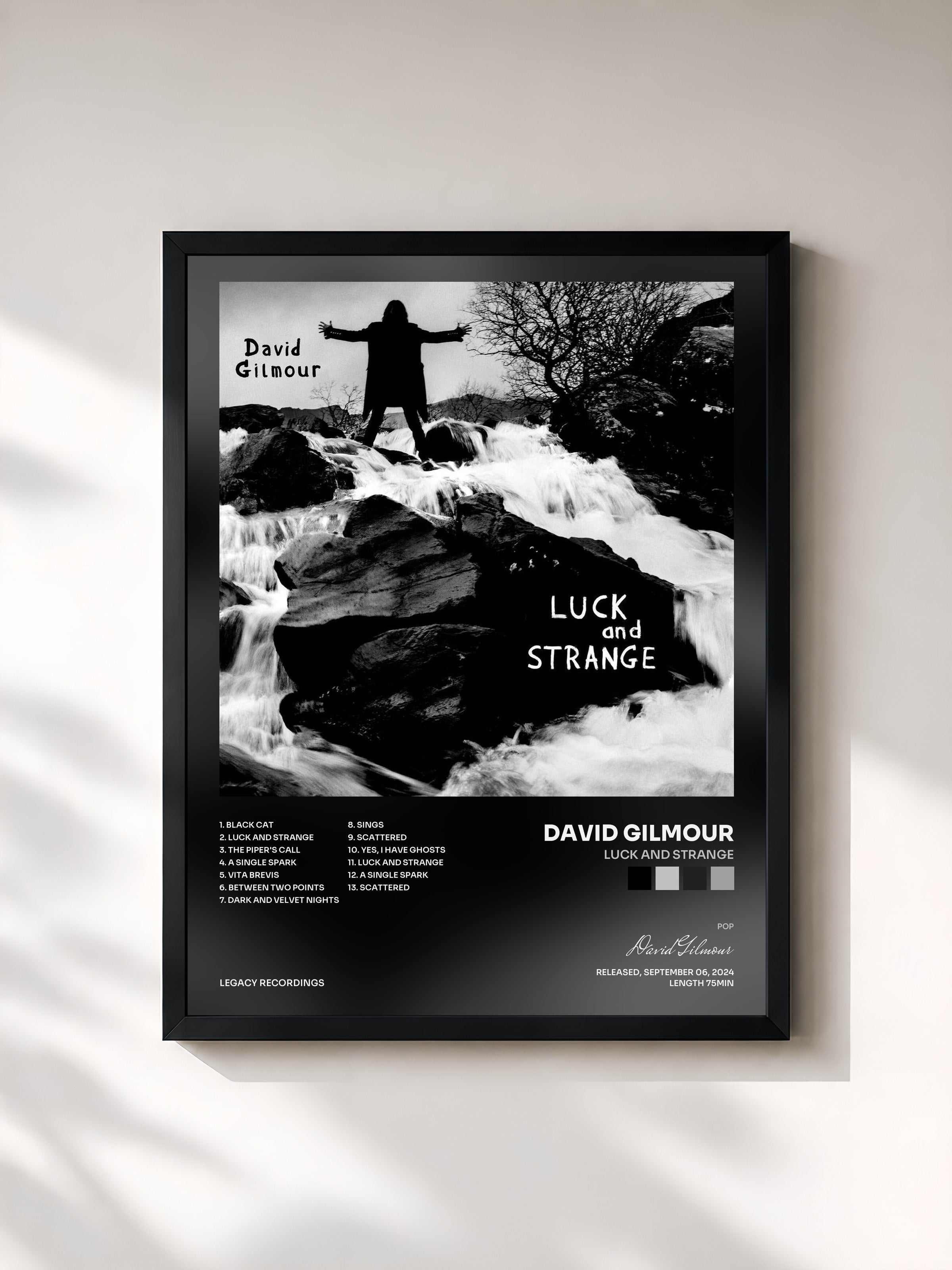 David Gilmour · Luck and Strange