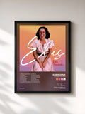 Elis Regina · Elis, essa saudade