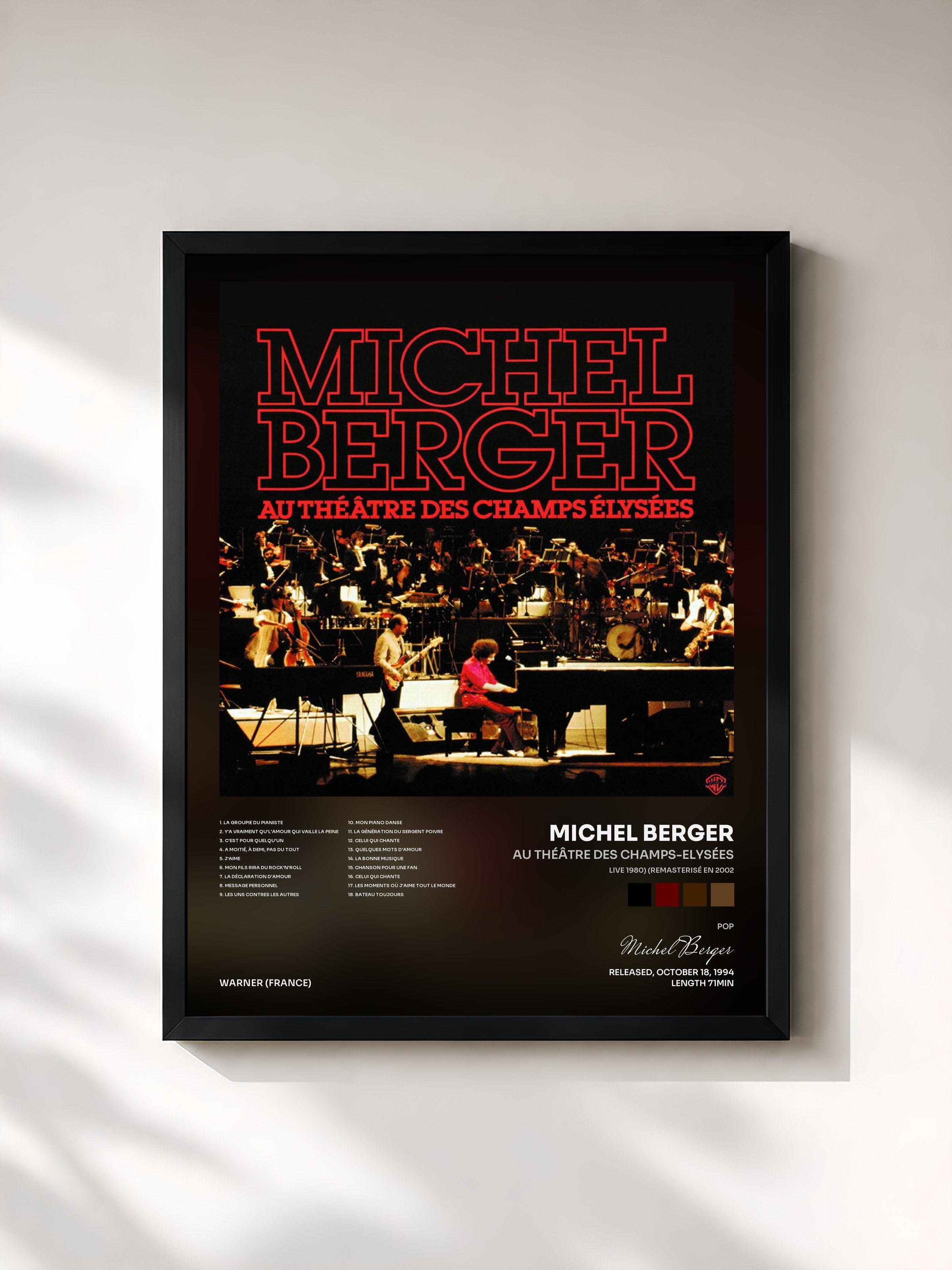 Michel Berger · Au Théâtre des Champs-Elysées (Live 1980) (Remasterisé en 2002)