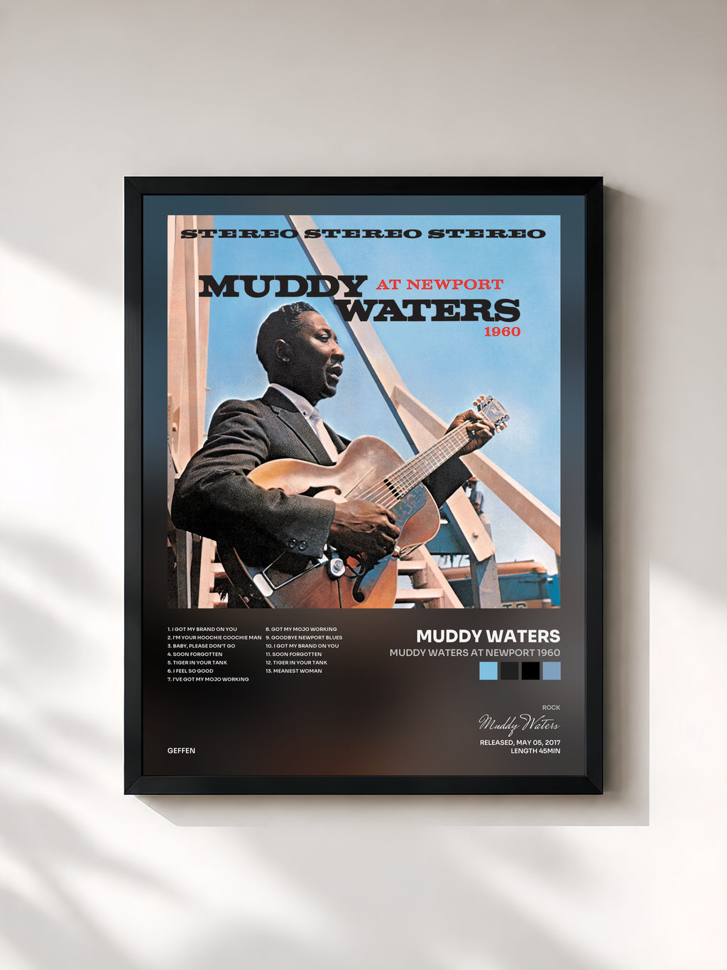 Muddy Waters · Muddy Waters At Newport 1960
