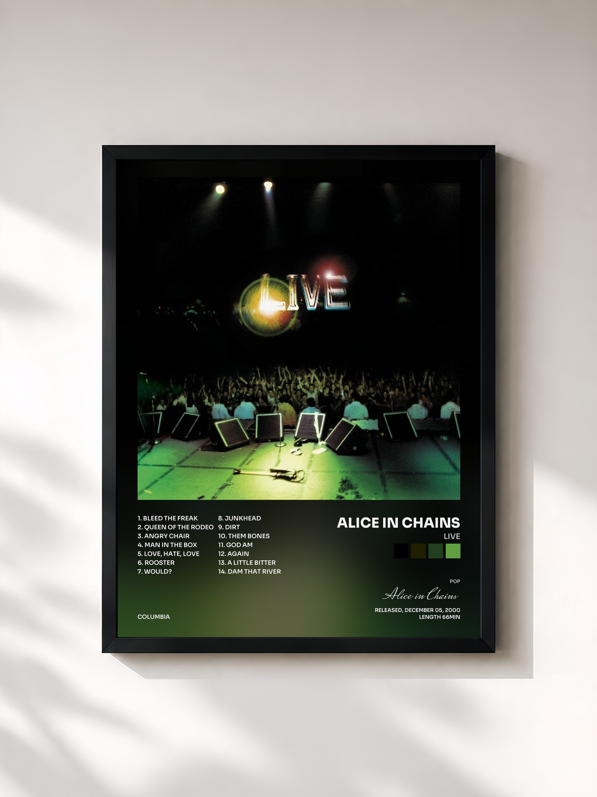 Alice in Chains · Live